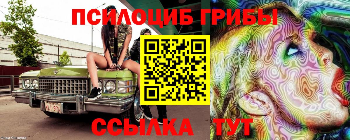 Псилоцибиновые грибы Psilocybe Лыткарино