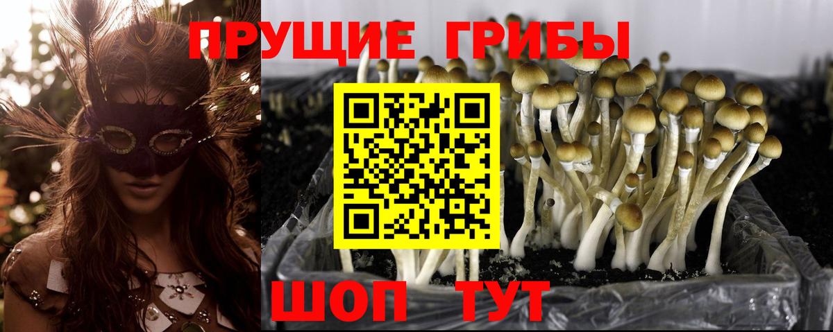 Псилоцибиновые грибы Magic Shrooms  Вход с VPN  Псилоцибиновые грибы ЛСД  Лыткарино 